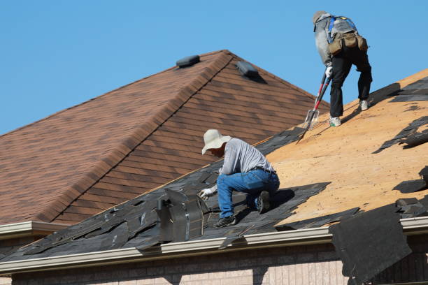 Best Storm Damage Roof Repair  in Vley, AL