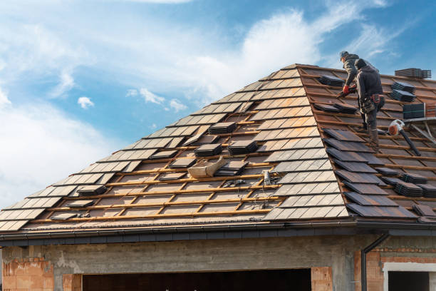 Best Skylight Installation and Repair  in Vley, AL