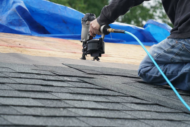 Best Storm Damage Roof Repair  in Vley, AL