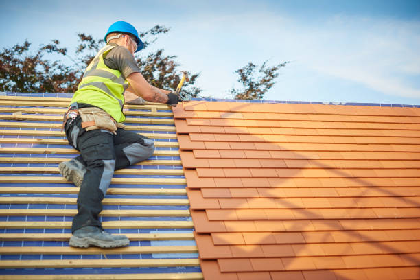 Best Asphalt Shingle Roofing  in Vley, AL